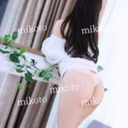 ヒメ日記 2025/09/03 18:41 投稿 みこと コートダジュール