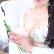 ヒメ日記 2025/12/02 13:06 投稿 みこと コートダジュール