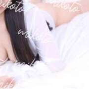 ヒメ日記 2025/12/03 13:01 投稿 みこと コートダジュール