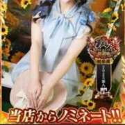 ヒメ日記 2025/11/04 19:15 投稿 OL≫輝珠 いろは 不倫商事多治見営業所