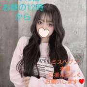 ヒメ日記 2025/11/08 12:17 投稿 OL≫輝珠 いろは 不倫商事多治見営業所