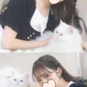 ヒメ日記 2025/12/06 22:15 投稿 OL≫輝珠 いろは 不倫商事多治見営業所