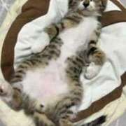 ヒメ日記 2025/02/23 21:34 投稿 さやか 川崎倶楽部フローラ