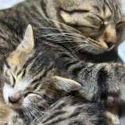 ヒメ日記 2025/02/24 18:04 投稿 さやか 川崎倶楽部フローラ