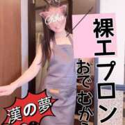 ヒメ日記 2025/03/22 07:42 投稿 上条ちか しこたま奥様 横浜店