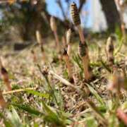 ヒメ日記 2025/03/25 07:10 投稿 あいり ナイスディ