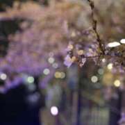 ヒメ日記 2025/04/05 17:34 投稿 あいり ナイスディ