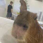 ヒメ日記 2025/08/09 21:28 投稿 あいり ナイスディ