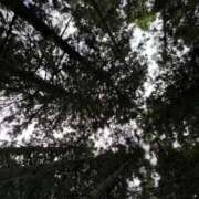 ヒメ日記 2025/09/21 07:41 投稿 あいり ナイスディ