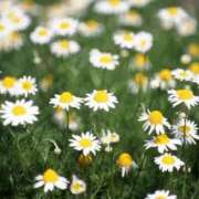 ヒメ日記 2025/12/09 19:20 投稿 あいり ナイスディ