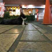 ヒメ日記 2026/02/22 12:07 投稿 あいり ナイスディ