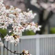 あいり 人間は都合の悪いことから目を背けたくなる生き物なので ナイスディ