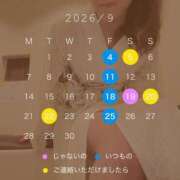あいり 樹上と酒場における生態系の観測 ナイスディ