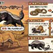 ヒメ日記 2026/10/08 20:53 投稿 あいり ナイスディ