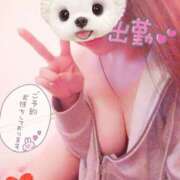 ヒメ日記 2025/01/28 13:23 投稿 福永 あみ セレブリフレ水戸