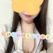 ヒメ日記 2025/04/05 16:58 投稿 福永 あみ セレブリフレ水戸