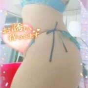 ヒメ日記 2025/02/04 14:43 投稿 かのん 柏人妻花壇