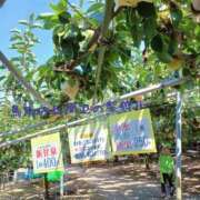 ヒメ日記 2025/08/22 22:45 投稿 かのん 柏人妻花壇