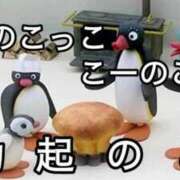 ヒメ日記 2025/03/08 18:02 投稿 ノエル ドMなバニーちゃん大宮店