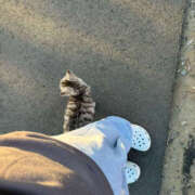 ヒメ日記 2025/04/29 12:48 投稿 ゆあ 千葉松戸ちゃんこ