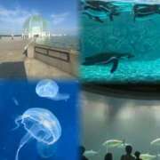 ヒメ日記 2025/07/06 12:57 投稿 ゆあ 千葉松戸ちゃんこ