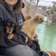 ヒメ日記 2025/10/26 09:05 投稿 ゆあ 千葉松戸ちゃんこ