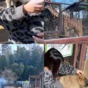 ヒメ日記 2026/02/03 23:45 投稿 ゆあ 千葉松戸ちゃんこ