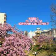 ヒメ日記 2026/03/07 14:46 投稿 ゆあ 千葉松戸ちゃんこ