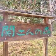 ヒメ日記 2026/03/31 00:27 投稿 ゆあ 千葉松戸ちゃんこ