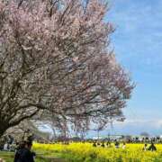 ヒメ日記 2025/04/02 11:51 投稿 帆乃香 莉緒 東京貴楼館