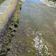 ヒメ日記 2025/04/21 13:06 投稿 ちゃこ 熟女家 京橋店