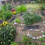 ヒメ日記 2025/05/12 10:38 投稿 ちゃこ 熟女家 京橋店