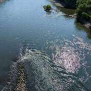 ヒメ日記 2025/07/24 09:10 投稿 ちゃこ 熟女家 京橋店