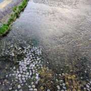 ヒメ日記 2025/08/07 19:36 投稿 ちゃこ 熟女家 京橋店