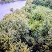 ヒメ日記 2025/08/12 11:06 投稿 ちゃこ 熟女家 京橋店