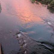 ヒメ日記 2025/08/18 19:00 投稿 ちゃこ 熟女家 京橋店