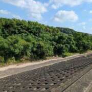 ヒメ日記 2025/08/21 09:46 投稿 ちゃこ 熟女家 京橋店