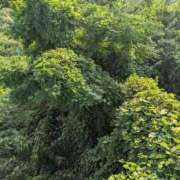 ヒメ日記 2025/08/26 08:36 投稿 ちゃこ 熟女家 京橋店