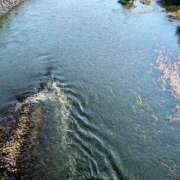 ヒメ日記 2025/08/31 08:36 投稿 ちゃこ 熟女家 京橋店