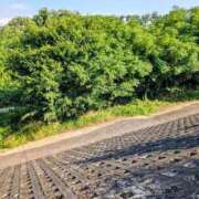 ヒメ日記 2025/09/01 11:46 投稿 ちゃこ 熟女家 京橋店