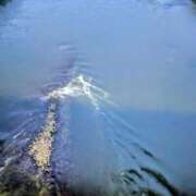 ヒメ日記 2025/09/05 11:37 投稿 ちゃこ 熟女家 京橋店