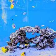 ヒメ日記 2025/09/12 12:26 投稿 ちゃこ 熟女家 京橋店