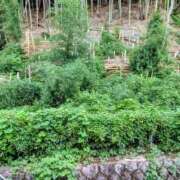 ヒメ日記 2025/09/24 10:34 投稿 ちゃこ 熟女家 京橋店