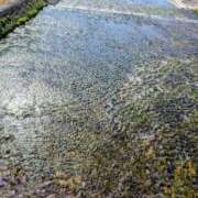 ヒメ日記 2025/10/27 11:36 投稿 ちゃこ 熟女家 京橋店