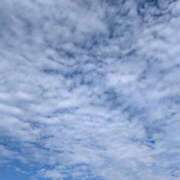 ヒメ日記 2025/11/12 10:26 投稿 ちゃこ 熟女家 京橋店