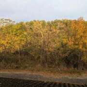 ヒメ日記 2025/12/19 19:06 投稿 ちゃこ 熟女家 京橋店