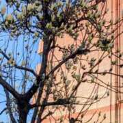 ヒメ日記 2026/03/18 18:56 投稿 ちゃこ 熟女家 京橋店