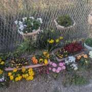 ヒメ日記 2026/03/21 17:56 投稿 ちゃこ 熟女家 京橋店