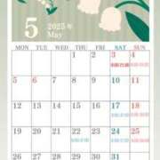 ヒメ日記 2025/05/02 18:36 投稿 まどか【魅惑のエロティック】 LIPS(リップス)