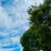 ヒメ日記 2025/07/11 09:43 投稿 まどか【魅惑のエロティック】 LIPS(リップス)